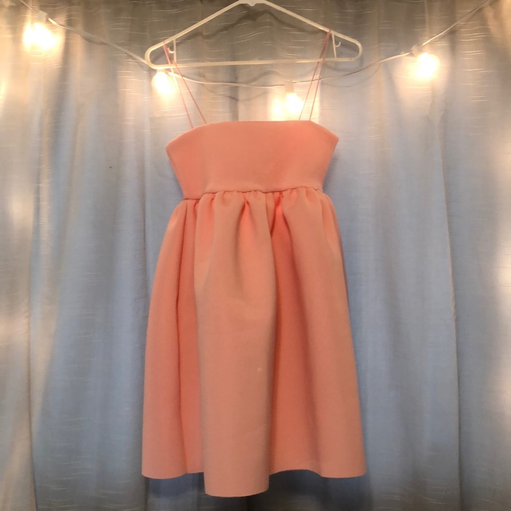 Ariana Grande Dress